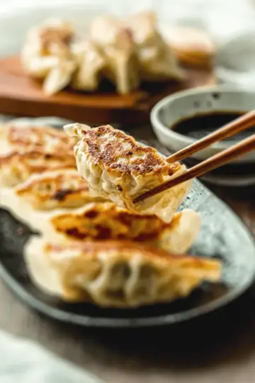 Japanese GYOZA (Dumplings)