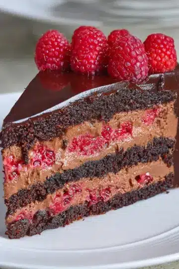 Chocolate Raspberry Mousse Cake