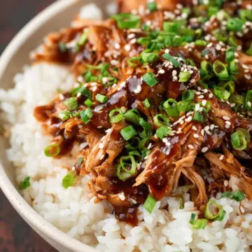 Crock Pot Teriyaki Chicken